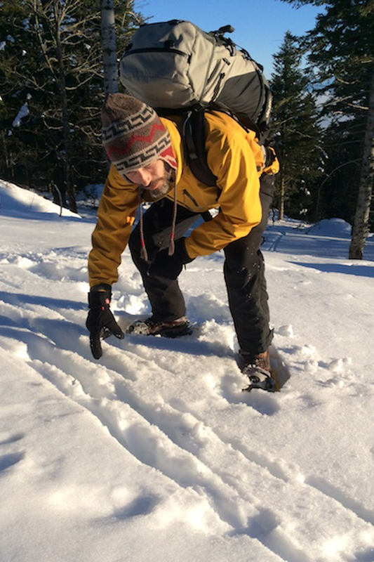 Laurent Kern